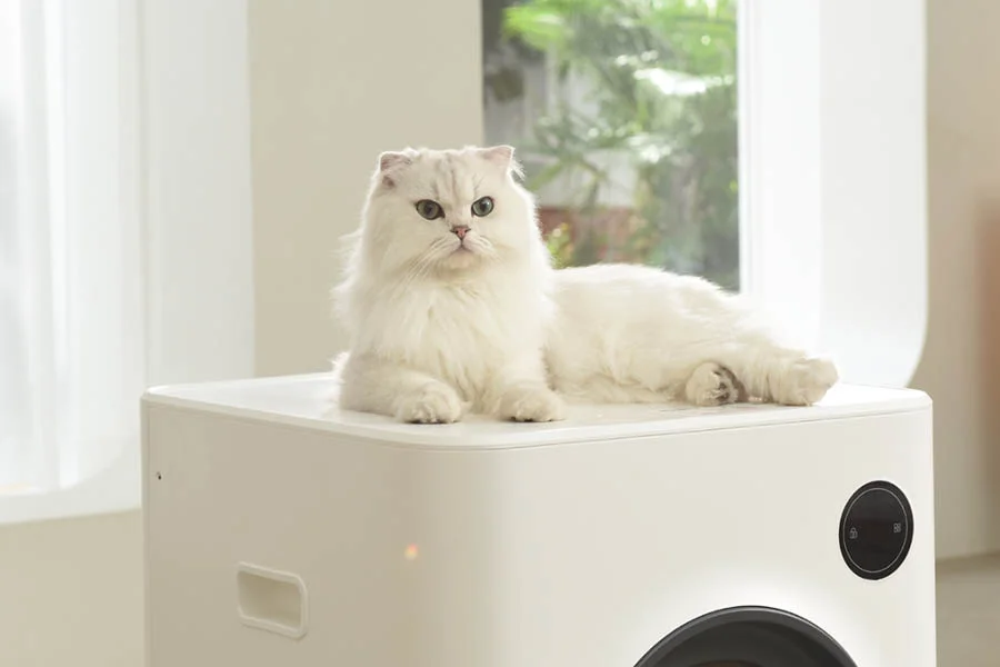 odor free litter box