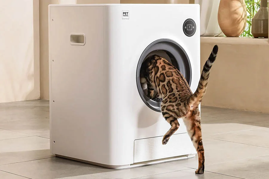 best litter for automatic litter box