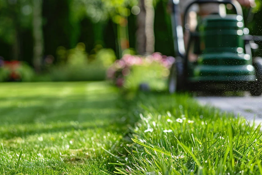 best battery mower